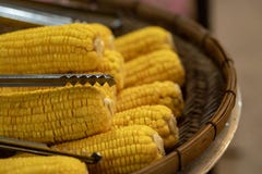 Plateful свежей сладостной органической мозоли испарился готовое для еды Подготовленная сваренная сладостная мозоль на таблице стоковые фото Plateful свежей сладостной органической мозоли испарился готовое для еды Подготовленная сваренная сладостная мозоль на таблице стоковые фото