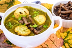 Plats des champignons Soupe à automne avec des champignons de forêt Photos libres de droits Plats des champignons Soupe à automne avec des champignons de forêt Photos libres de droits