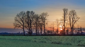 Plattelandslandschap met een rij van bomen en een kleurrijke zonsondergang, Weelde, België royalty-vrije stock afbeelding Plattelandslandschap met een rij van bomen en een kleurrijke zonsondergang, Weelde, België royalty-vrije stock afbeelding
