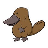 Platypus Stock Photo