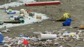 Playa por completo del plástico y de la basura de la descarga almacen de video Playa por completo del plástico y de la basura de la descarga almacen de video
