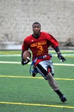 Player, Team Sport, Football Player, Sport Venue royalty free stock photos Player, Team Sport, Football Player, Sport Venue royalty free stock photos