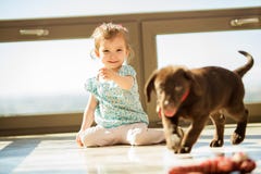 Playing fetch with my puppy stock images Playing fetch with my puppy stock images