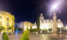Plaza de la Virgen de los Reyes in night. Seville royalty free stock images Plaza de la Virgen de los Reyes in night. Seville royalty free stock images