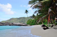 Plaża w Seychelles obrazy royalty free Plaża w Seychelles obrazy royalty free