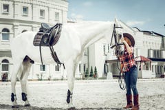 Pleasant cute girl standing near her white horse stock image Pleasant cute girl standing near her white horse stock image