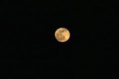 Pleine lune jaune dans un ciel foncé image stock Pleine lune jaune dans un ciel foncé image stock