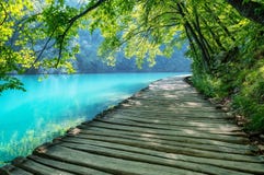 Plitvice lakes in Croatia. National Park in summer. Waterfalls and lakes among the forest. Footpath for hiking.