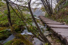 Plitvice sjöar stiger ombord går på momenten royaltyfri foto Plitvice sjöar stiger ombord går på momenten royaltyfri foto
