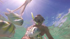 Plongée d'homme en récif coralien École des poissons Scène sous-marine de selfie clips vidéos Plongée d'homme en récif coralien École des poissons Scène sous-marine de selfie clips vidéos