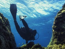 Plongée d'homme par la mer bleue près du fond de la mer images libres de droits Plongée d'homme par la mer bleue près du fond de la mer images libres de droits