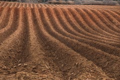 Ploughed Field Royalty Free Stock Images Ploughed Field Royalty Free Stock Images