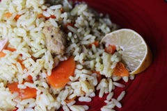 Plov Plato sabroso fresco del vegano subida con la zanahoria, la carne de la soja y el ajo fotos de archivo libres de regalías Plov Plato sabroso fresco del vegano subida con la zanahoria, la carne de la soja y el ajo fotos de archivo libres de regalías