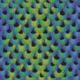 Plumage d'oiseau illustration stock Plumage d'oiseau illustration stock