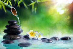 Plumeria kwiaty W Japońskiej fontannie Z masażu bambusem I kamieniami obrazy royalty free Plumeria kwiaty W Japońskiej fontannie Z masażu bambusem I kamieniami obrazy royalty free