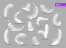Plumes réalistes Plume en baisse d'oiseau blanc d'isolement sur la collection blanche de vecteur de fond Illustration de plume illustration libre de droits Plumes réalistes Plume en baisse d'oiseau blanc d'isolement sur la collection blanche de vecteur de fond Illustration de plume illustration libre de droits