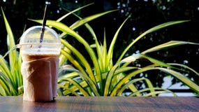 Plástico do copo de café na tabela no estilo tailandês da manhã da luz do sol imagem de stock Plástico do copo de café na tabela no estilo tailandês da manhã da luz do sol imagem de stock