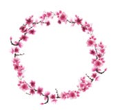 Pociągany ręcznie wianek Sakura royalty ilustracja Pociągany ręcznie wianek Sakura royalty ilustracja