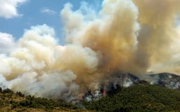 Podpala w lasowych terenach w Viotia w Środkowym Grecja obrazy stock Podpala w lasowych terenach w Viotia w Środkowym Grecja obrazy stock