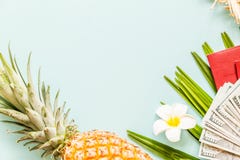 Podr??y mieszkania nieatutowe rzeczy: ?wie?y ananas, kwiat, got?wkowy pieni?dze, paszport, pla?owi kapcie i palmowy li??, miejsce zdjęcia royalty free Podr??y mieszkania nieatutowe rzeczy: ?wie?y ananas, kwiat, got?wkowy pieni?dze, paszport, pla?owi kapcie i palmowy li??, miejsce zdjęcia royalty free