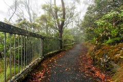 Point Lookout, New England National Park, , AU Royalty Free Stock Photo Point Lookout, New England National Park, , AU Royalty Free Stock Photo