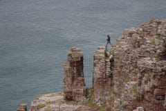 A young rock climber guy jumps over the rocks against the backdrop of the sea stock image A young rock climber guy jumps over the rocks against the backdrop of the sea stock image