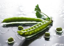 Pois humides sur le macro végétal d'avant de l'eau de table image libre de droits Pois humides sur le macro végétal d'avant de l'eau de table image libre de droits