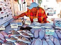 Poissonnerie de St marie de la mer images stock Poissonnerie de St marie de la mer images stock