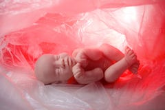 Pojęcie płód, aborcja obraz royalty free Pojęcie płód, aborcja obraz royalty free