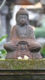 Pokojowa i spokojna Buddha statua fotografia stock Pokojowa i spokojna Buddha statua fotografia stock