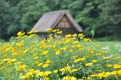 Pokrywający strzechą Dachowy dom w Shirakawago, Japonia fotografia stock Pokrywający strzechą Dachowy dom w Shirakawago, Japonia fotografia stock