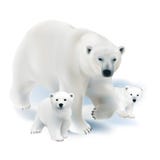 Polar bear and cubs. stock illustration Polar bear and cubs. stock illustration