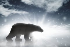 Polar Bear In A Snow Storm