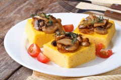 Polenta met paddestoelen, tomaten en thyme op de lijst stock foto Polenta met paddestoelen, tomaten en thyme op de lijst stock foto