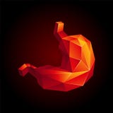 Poli stomaco umano basso rosso su un fondo nero Organo astratto di anatomia Stomaco nello stile del poligono 3D royalty illustrazione gratis Poli stomaco umano basso rosso su un fondo nero Organo astratto di anatomia Stomaco nello stile del poligono 3D royalty illustrazione gratis