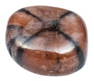 Polished Chiastolite Andalusite gemstone stock image Polished Chiastolite Andalusite gemstone stock image