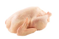 Pollo Pollo