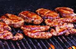 Pollo del Bbq en parrilla foto de archivo Pollo del Bbq en parrilla foto de archivo