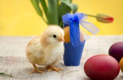 Pollo sveglio di Pasqua con le uova Immagini Stock Pollo sveglio di Pasqua con le uova Immagini Stock