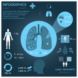 Polmoni Infographic Infocharts illustrazione vettoriale Polmoni Infographic Infocharts illustrazione vettoriale