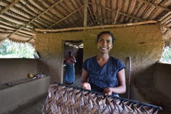 Polonnaruwa, Шри-Ланка, 8-ое ноября 2015: Женщина Sri Lankian представила ее работу стоковые фото Polonnaruwa, Шри-Ланка, 8-ое ноября 2015: Женщина Sri Lankian представила ее работу стоковые фото