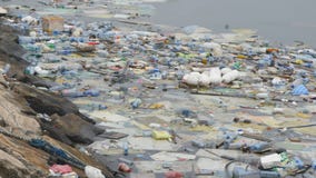Poluição ambiental Garrafas plásticas, sacos, lixo no rio, lago Desperdícios e poluição que flutuam na água vídeos de arquivo Poluição ambiental Garrafas plásticas, sacos, lixo no rio, lago Desperdícios e poluição que flutuam na água vídeos de arquivo