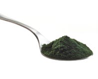 Polvere di alghe di Spirulina fotografia stock libera da diritti Polvere di alghe di Spirulina fotografia stock libera da diritti