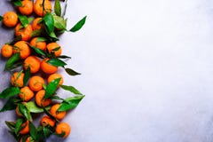 Pomarańczowe tangerines pomarańcze, mandarynki, clementines, cytrus owoc z zielenią opuszczają na lekkim tle, kopii przestrzeń Obrazy Stock Pomarańczowe tangerines pomarańcze, mandarynki, clementines, cytrus owoc z zielenią opuszczają na lekkim tle, kopii przestrzeń Obrazy Stock
