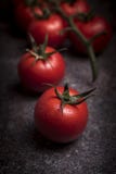 Pomodori freschi dell'uva immagini stock libere da diritti Pomodori freschi dell'uva immagini stock libere da diritti