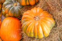 Pompoen op het hooi in het de herfstseizoen royalty-vrije stock foto Pompoen op het hooi in het de herfstseizoen royalty-vrije stock foto