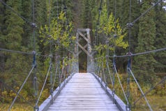 Pont suspendu piétonnier au-dessus d'une rivière en parc national de Denali image stock Pont suspendu piétonnier au-dessus d'une rivière en parc national de Denali image stock