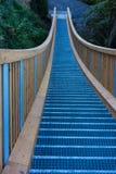 Ponte a catena di Wodden nell'area della foresta fotografia stock libera da diritti Ponte a catena di Wodden nell'area della foresta fotografia stock libera da diritti
