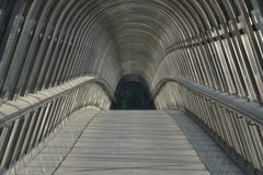 Ponte giapponese - Parigi fotografia stock libera da diritti Ponte giapponese - Parigi fotografia stock libera da diritti