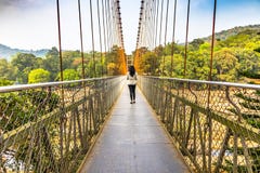 Ponte sospeso del cavo di Ezhattumugham-Thumboormuzhi, Kerala fotografia stock libera da diritti Ponte sospeso del cavo di Ezhattumugham-Thumboormuzhi, Kerala fotografia stock libera da diritti